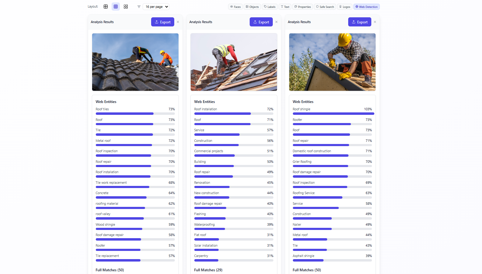 Web Detection - Roof